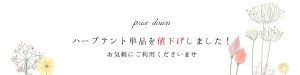 単品価格を値下げしました！